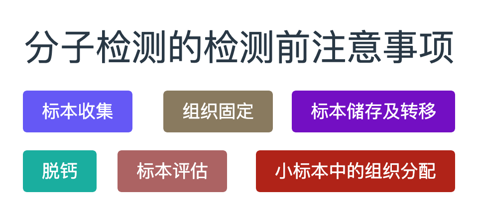分子檢測常規注意事項